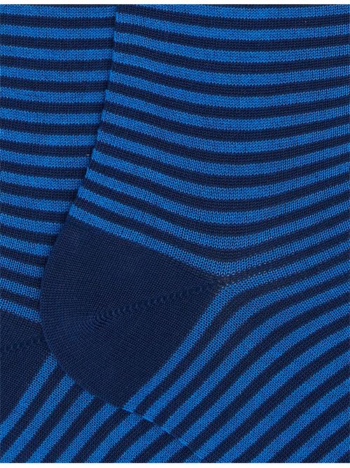 AP10364912947 FANTASIA gallo | AP10364912947 FANTASIA